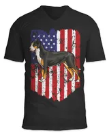 Unisex Jersey SS V-Neck T-Shirt