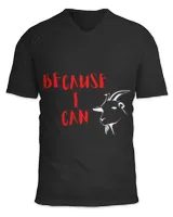 Unisex Jersey SS V-Neck T-Shirt