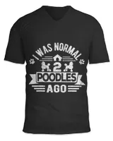 Unisex Jersey SS V-Neck T-Shirt