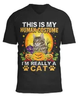 Unisex Jersey SS V-Neck T-Shirt