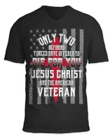 Unisex Jersey SS V-Neck T-Shirt