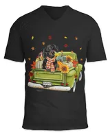 Unisex Jersey SS V-Neck T-Shirt