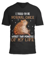 Unisex Jersey SS V-Neck T-Shirt