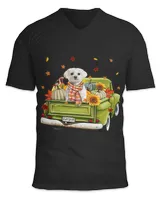 Unisex Jersey SS V-Neck T-Shirt