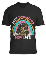 Unisex Jersey SS V-Neck T-Shirt