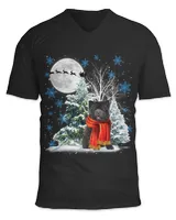 Unisex Jersey SS V-Neck T-Shirt