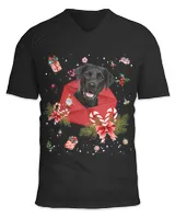 Unisex Jersey SS V-Neck T-Shirt
