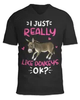 Unisex Jersey SS V-Neck T-Shirt