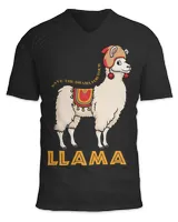 Unisex Jersey SS V-Neck T-Shirt