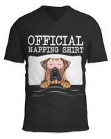 Unisex Jersey SS V-Neck T-Shirt Unisex Jersey SS V-Neck T-Shirt