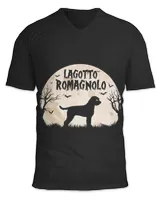 Unisex Jersey SS V-Neck T-Shirt