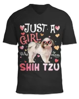 Unisex Jersey SS V-Neck T-Shirt