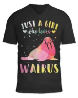 Unisex Jersey SS V-Neck T-Shirt