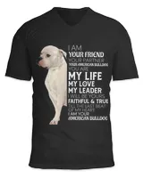 Unisex Jersey SS V-Neck T-Shirt