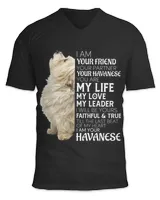 Unisex Jersey SS V-Neck T-Shirt