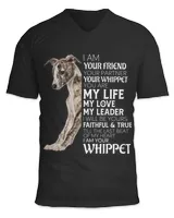 Unisex Jersey SS V-Neck T-Shirt