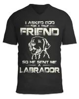 Unisex Jersey SS V-Neck T-Shirt