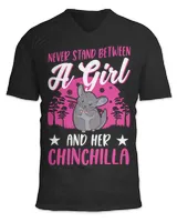Unisex Jersey SS V-Neck T-Shirt