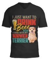 Unisex Jersey SS V-Neck T-Shirt