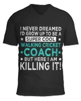 Unisex Jersey SS V-Neck T-Shirt