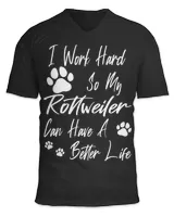 Unisex Jersey SS V-Neck T-Shirt