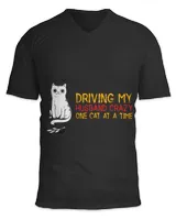 Unisex Jersey SS V-Neck T-Shirt