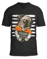 Unisex Jersey SS V-Neck T-Shirt