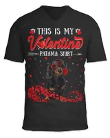 Unisex Jersey SS V-Neck T-Shirt