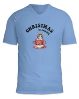 Unisex Jersey SS V-Neck T-Shirt