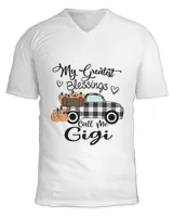 Unisex Jersey SS V-Neck T-Shirt