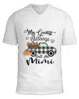 Unisex Jersey SS V-Neck T-Shirt