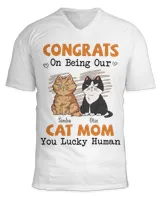 Unisex Jersey SS V-Neck T-Shirt