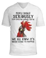 Unisex Jersey SS V-Neck T-Shirt