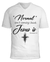 Unisex Jersey SS V-Neck T-Shirt