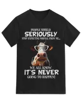 Unisex Jersey SS V-Neck T-Shirt