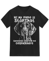 Unisex Jersey SS V-Neck T-Shirt