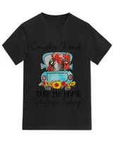 Unisex Jersey SS V-Neck T-Shirt