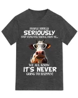 Unisex Jersey SS V-Neck T-Shirt