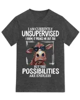 Unisex Jersey SS V-Neck T-Shirt