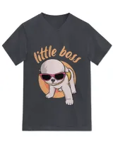 Unisex Jersey SS V-Neck T-Shirt