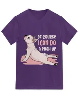 Unisex Jersey SS V-Neck T-Shirt