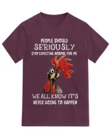 Unisex Jersey SS V-Neck T-Shirt