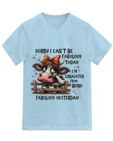 Unisex Jersey SS V-Neck T-Shirt