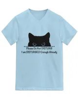 Unisex Jersey SS V-Neck T-Shirt