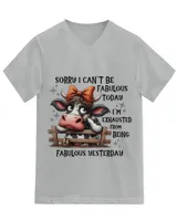 Unisex Jersey SS V-Neck T-Shirt