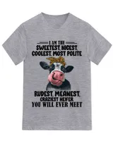 Unisex Jersey SS V-Neck T-Shirt