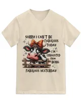 Unisex Jersey SS V-Neck T-Shirt