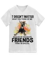 Unisex Jersey SS V-Neck T-Shirt