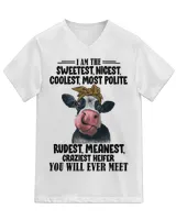 Unisex Jersey SS V-Neck T-Shirt