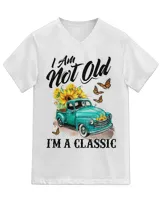 Unisex Jersey SS V-Neck T-Shirt